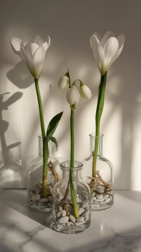 25 Christmas Home Decor DIY Ideas to Add Charm and Warmth 5 Paperwhite Bulb Forcing Christmas Home Decor DIY