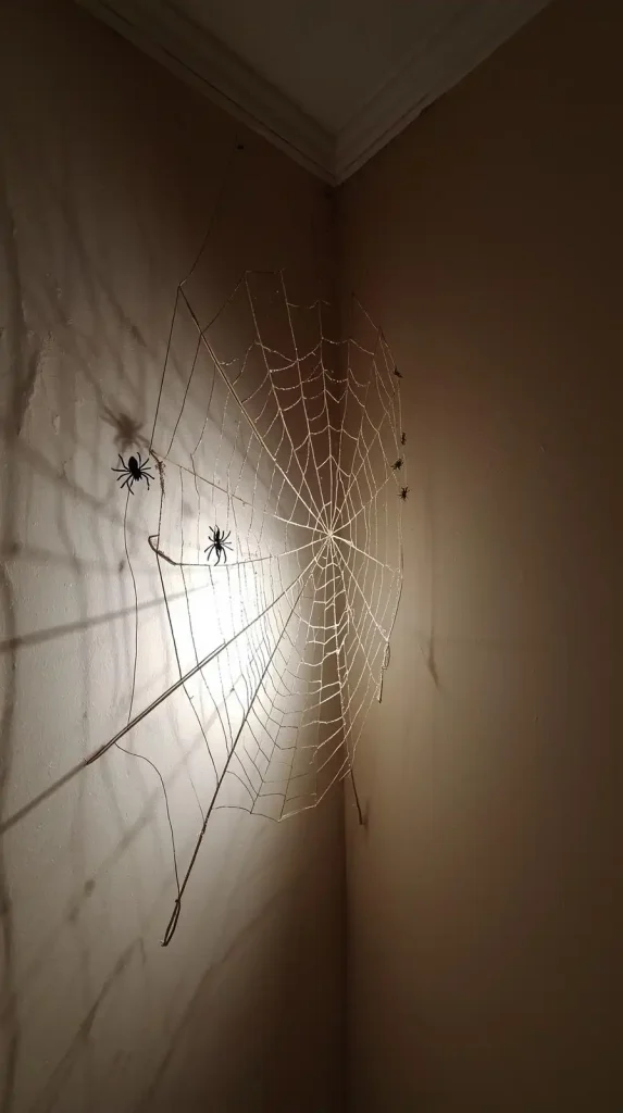 Yarn Spiderweb Wall Feature