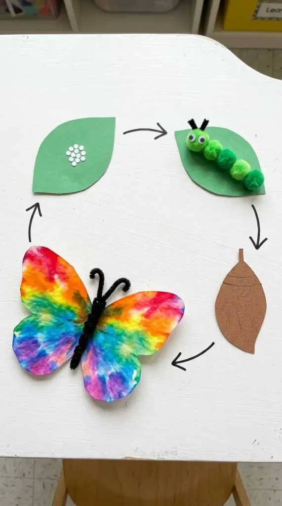 18 Easy Spring Classroom Crafts - Coffee Filter Butterflies 9 9. Butterfly Life Cycle Craft Set