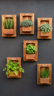 20 Herb Garden Ideas Vertical Wall Mounted Cedar Frame 8 8. Mount Multiple Small Cedar Frames in a Gallery Formation