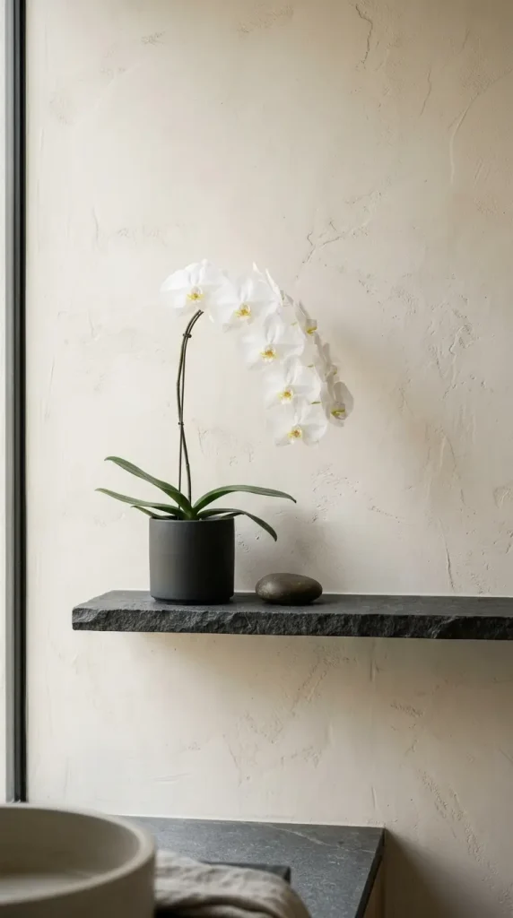 26 Bathroom Shelf Plants Decor Japandi Orchid Minimal 1 1. Single White Orchid on a Dark Stone Shelf