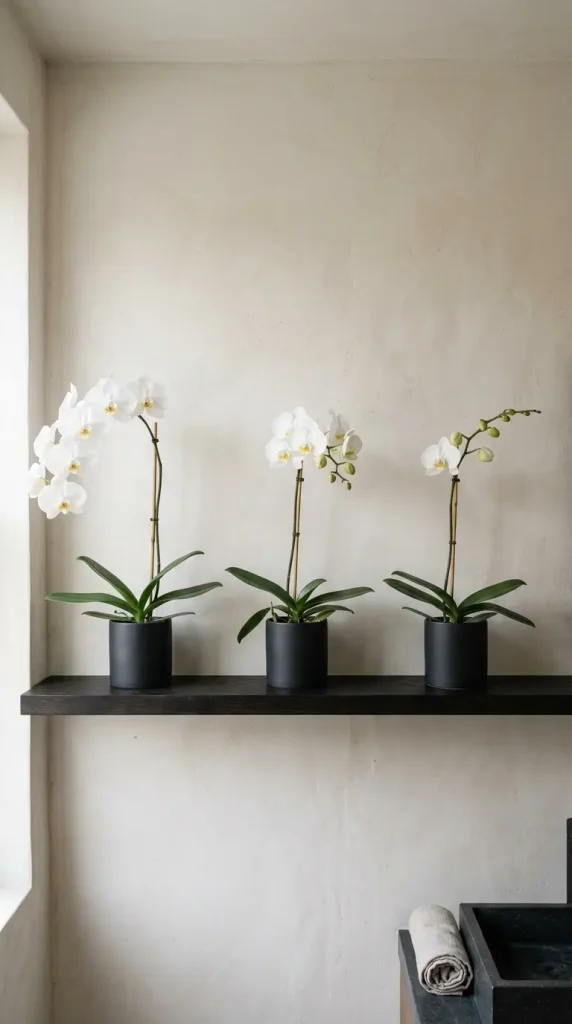 26 Bathroom Shelf Plants Decor Japandi Orchid Minimal 10 10. Long Dark Shelf with Multiple Orchids — Restrained Row