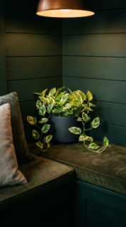 13 DIY Breakfast Nook Dark Green Shiplap Moody Corner 12 12. Add a Small Trailing Plant in a Dark Ceramic Pot to the Bench Corner