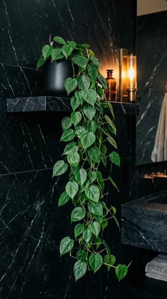23 Bathroom Plants Decor Luxury Spa Black Marble Style 15 15. Philodendron Heartleaf Trailing From a Black Marble Shelf Edge