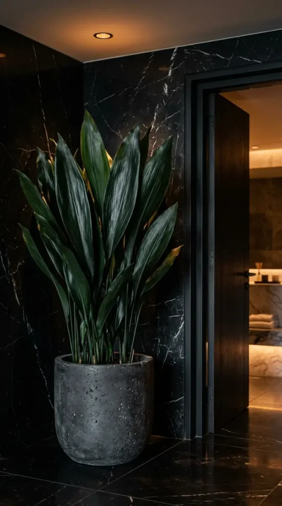 23 Bathroom Plants Decor Luxury Spa Black Marble Style 16 16. Cast Iron Plant in a Heavy Concrete Vessel by the Bathroom Door