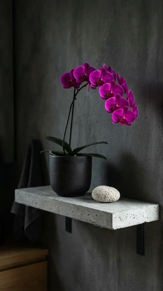26 Bathroom Shelf Plants Decor Japandi Orchid Minimal 3 3. Raw Concrete Shelf with Deep Magenta Orchid