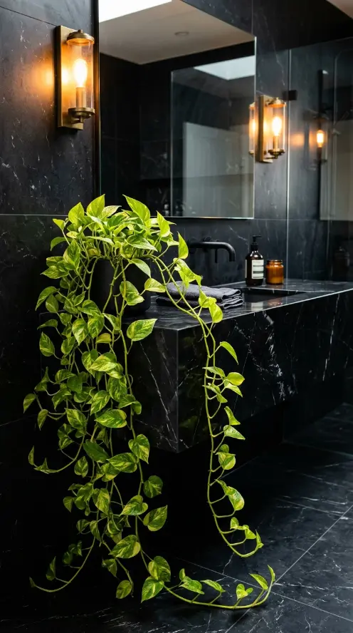 23 Bathroom Plants Decor Luxury Spa Black Marble Style 3 3. Trailing Pothos Along Black Marble Vanity Surface